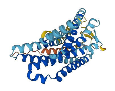 OR13D1 3D structure