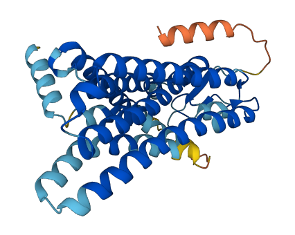 OR5H6 3D structure