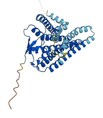 OR5H2 3D structure