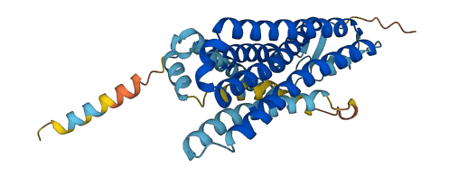 OR6B3 3D structure