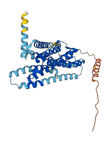 OR6K6 3D structure