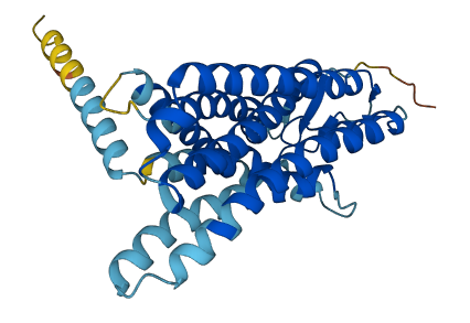 OR11L1 3D structure