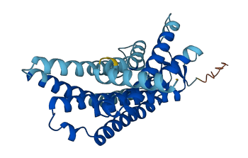 OR2T34 3D structure