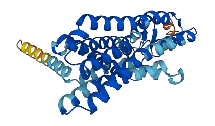 OR2T35 3D structure