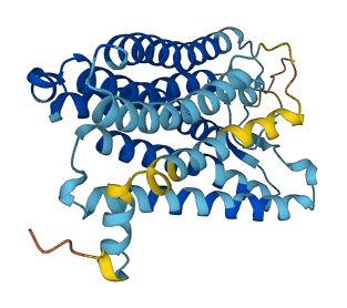 OR10T2 3D structure