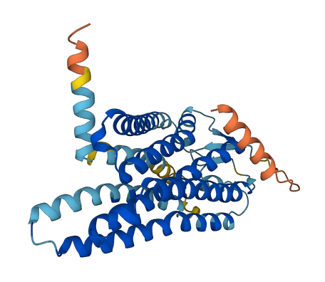 OR10R2 3D structure