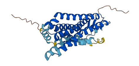 OR6Y1 3D structure