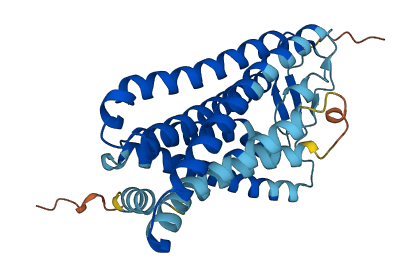 OR6P1 3D structure