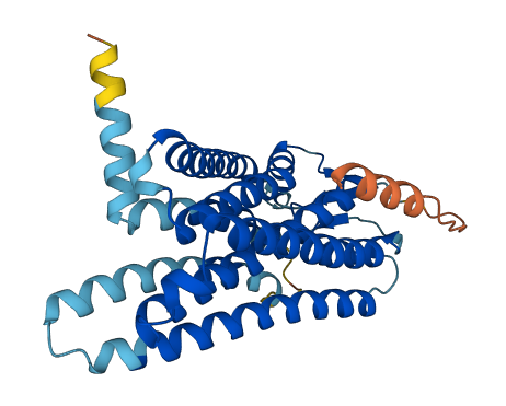 OR10X1 3D structure