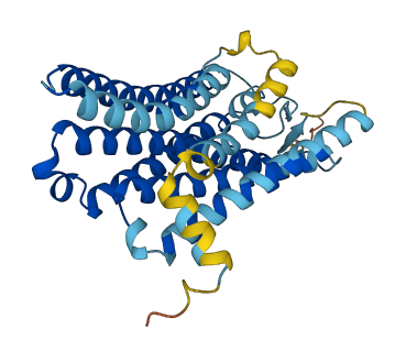 OR10Z1 3D structure