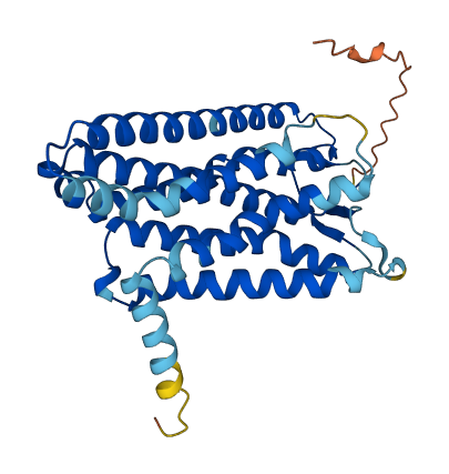 OR6K3 3D structure