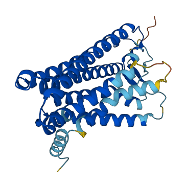 OR6N1 3D structure