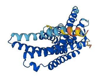 OR6N2 3D structure