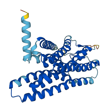 OR2L8 3D structure