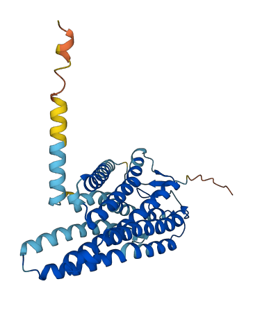 OR2AJ1 3D structure