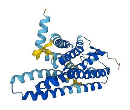 OR13G1 3D structure