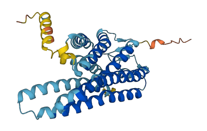 OR2G2 3D structure