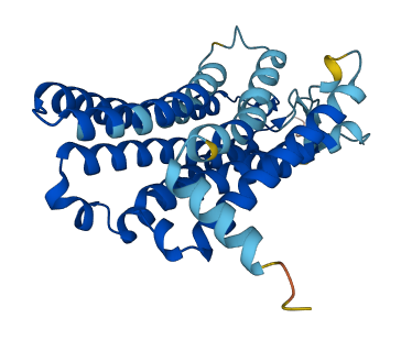 OR2T10 3D structure