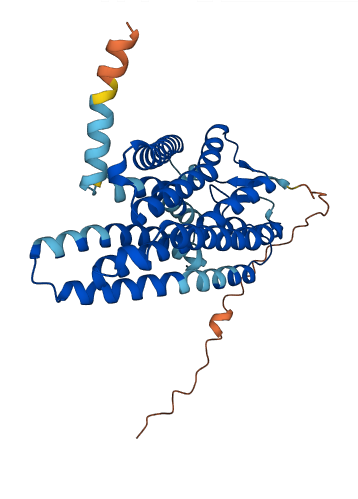 OR2T4 3D structure
