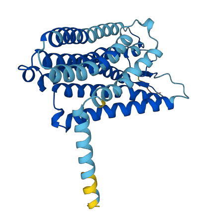 OR2T11 3D structure