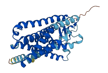 OR2T29 3D structure