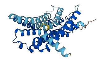 OR2T3 3D structure