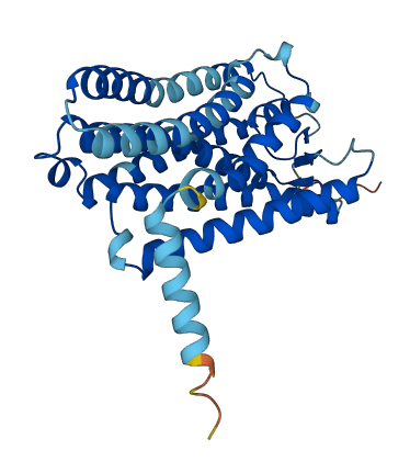 OR2T27 3D structure