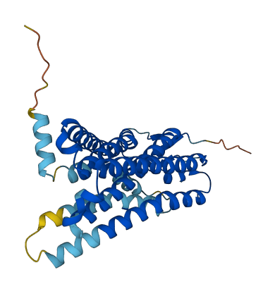 OR4Q3 3D structure
