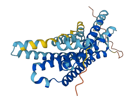 OR1P1 3D structure