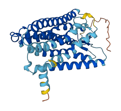 OR11H2 3D structure