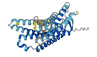 OR10AC1 3D structure