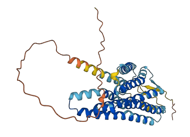 OR8S1 3D structure
