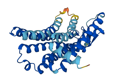 OR8U1 3D structure