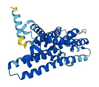 OR2L2 3D structure