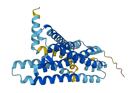 OR5J2 3D structure