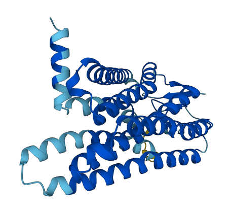 OR10AG1 3D structure