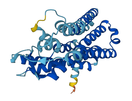 OR4F5 3D structure