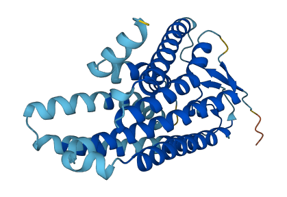 OR4C3 3D structure