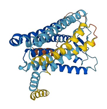 OR4K15 3D structure