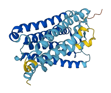 OR4K13 3D structure