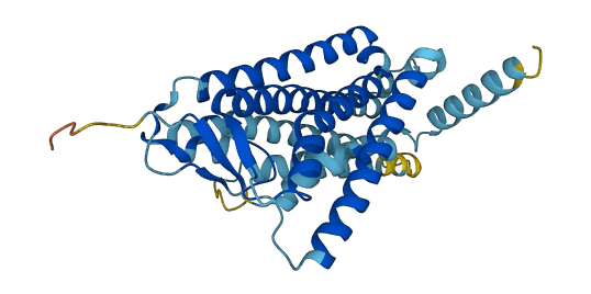 OR4L1 3D structure