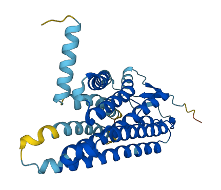 OR5B3 3D structure