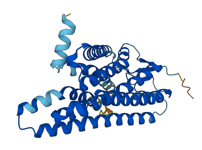 OR8K5 3D structure