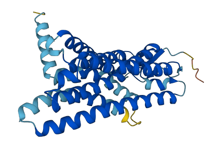 OR8K3 3D structure