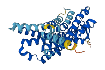 OR52N1 3D structure