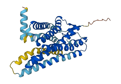 OR56A3 3D structure