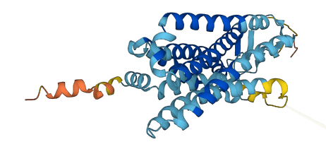OR52E5 3D structure