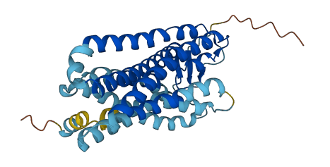 OR52N5 3D structure