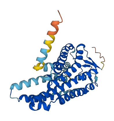 OR52P1P 3D structure
