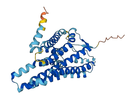 OR51Q1 3D structure